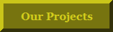Wild Projects
